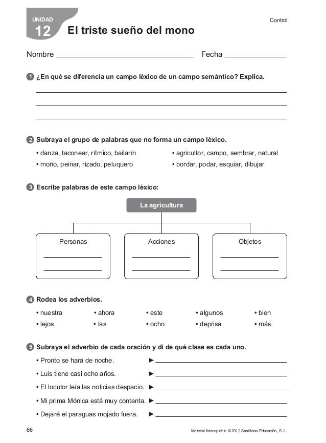 10 respuestas examen santillana 4 primaria soluciona facilmente