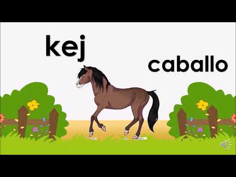 100 animales en kiche nombres y numeros en kiche 1