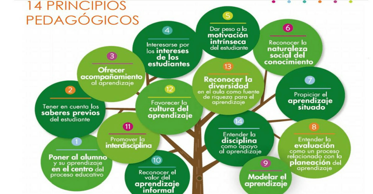 14 principios clave para mejorar tu práctica educativa 2 14 principios clave para mejorar tu practica educativa