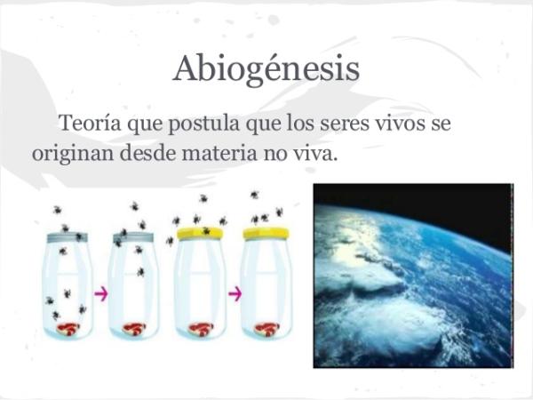abiogenesis definicion teoria y origen