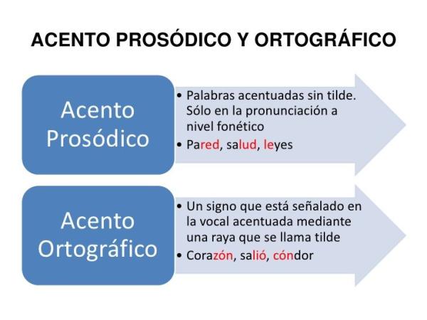 acento prosodico que es definicion etimologia y ejemplos