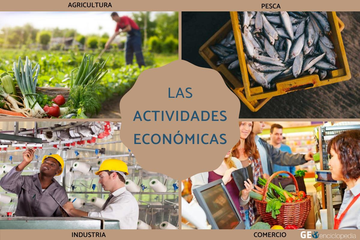 actividades economicas terciarias rentables y