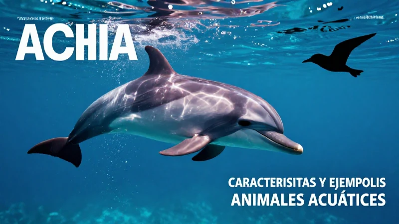 Acuáticos: Características y Ejemplos de Animales Acuáticos 5 Animales acuáticos comparados con aves aéreas