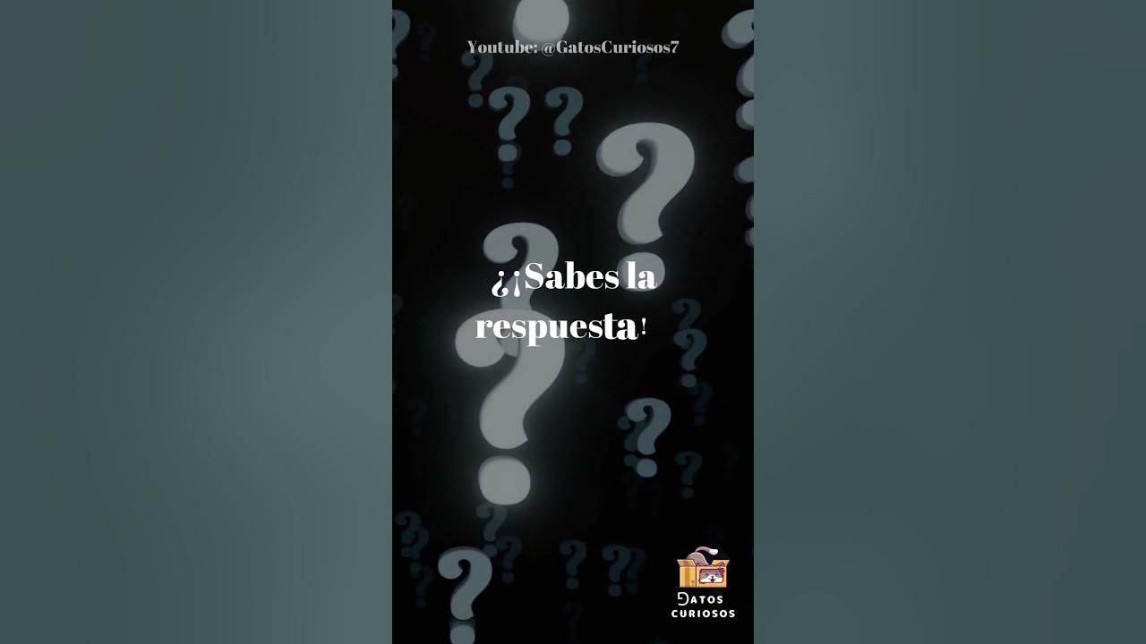 Adivina el enigma: Conoce la respuesta a una adivinanza intrigante 2 adivina el enigma conoce la respuesta a una adivinanza intrigante