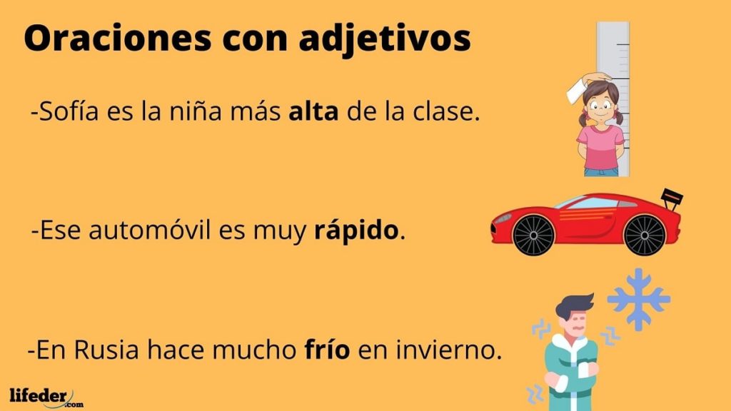 Adjetivo en una oración: 100 ejemplos de adjetivos 21 adjetivo en una oracion 100 ejemplos de adjetivos 1