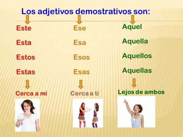 adjetivos determinativos 20 ejemplos que debes conocer