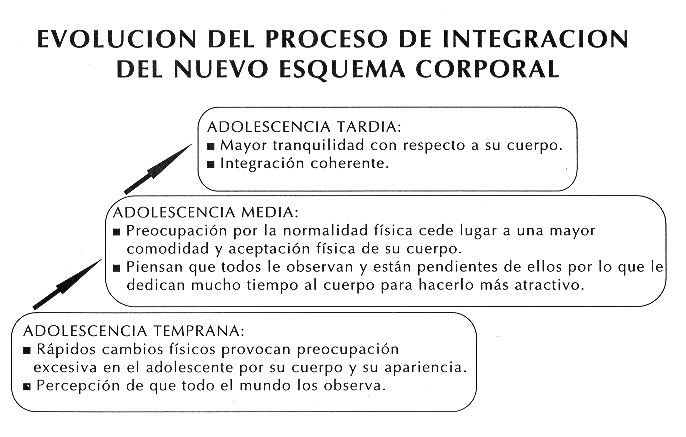 Adolece: Definición y concepto explicado detalladamente 16 adolece definicion y concepto explicado detalladamente