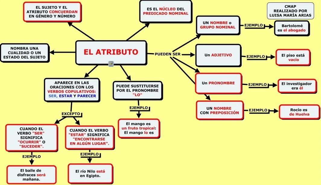adyacentes definicion en gramatica y medicina esencial
