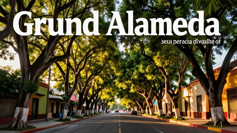 Alamedas: Qué es, ejemplos, definición y concepto explicado 4 Calle Alameda con árboles y luz dorada