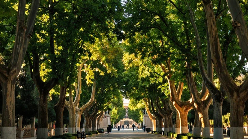 Alamedas: Qué es, ejemplos, definición y concepto explicado 6 Alamedas españolas: avenida majestuosa de planos y luz