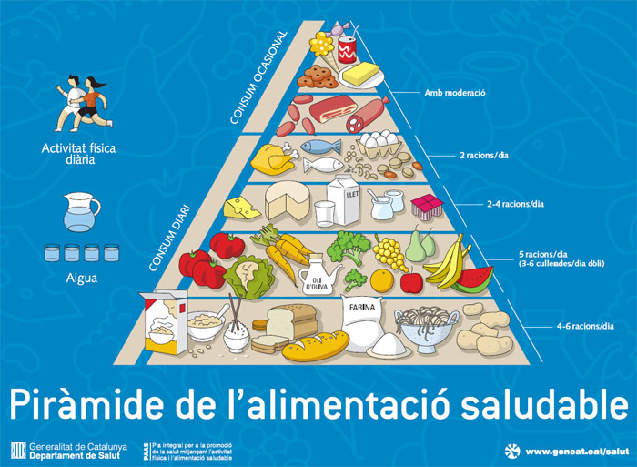 alimentos con lipidos 30 ejemplos de nutrientes esenciales 4