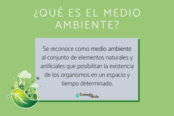 ambiental natural definicion concepto y caracteristicas
