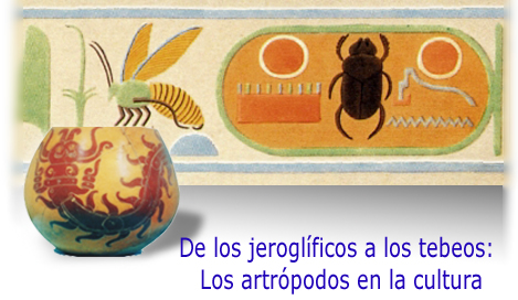 animales artropodos 100 ejemplos sorprendentes y variados 1