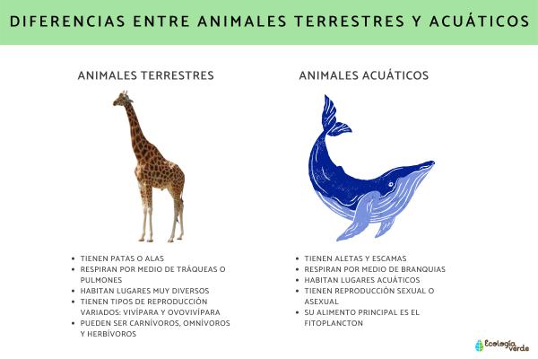 animales terrestres concepto tipos y ejemplos clave 1