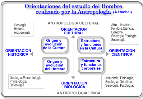 Antropología: concepto, origen, ramas e importancia esencial 2 antropologia concepto origen ramas e importancia esencial