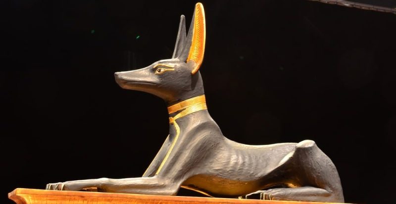 anubis informacion caracteristicas simbolos y mas 1