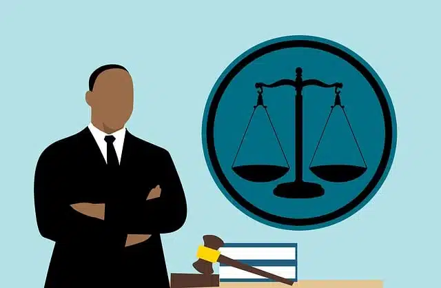apela significado y concepto en el ambito judicial