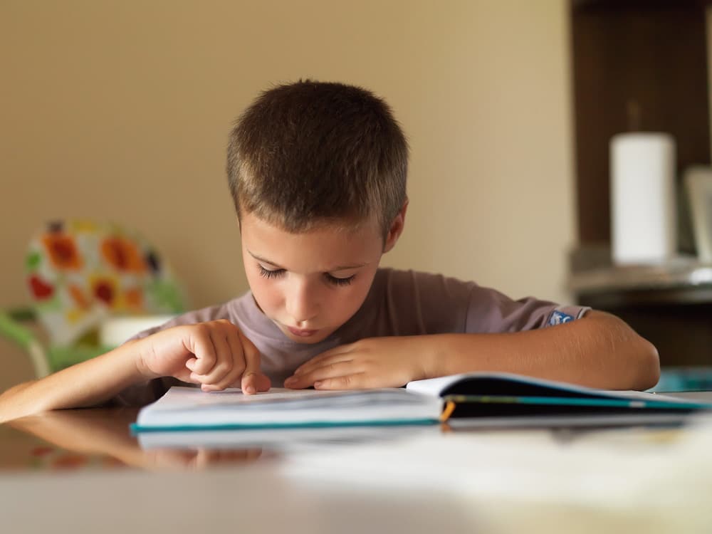 aprende a leer y escribir rapido descubre el metodo mas efectivo