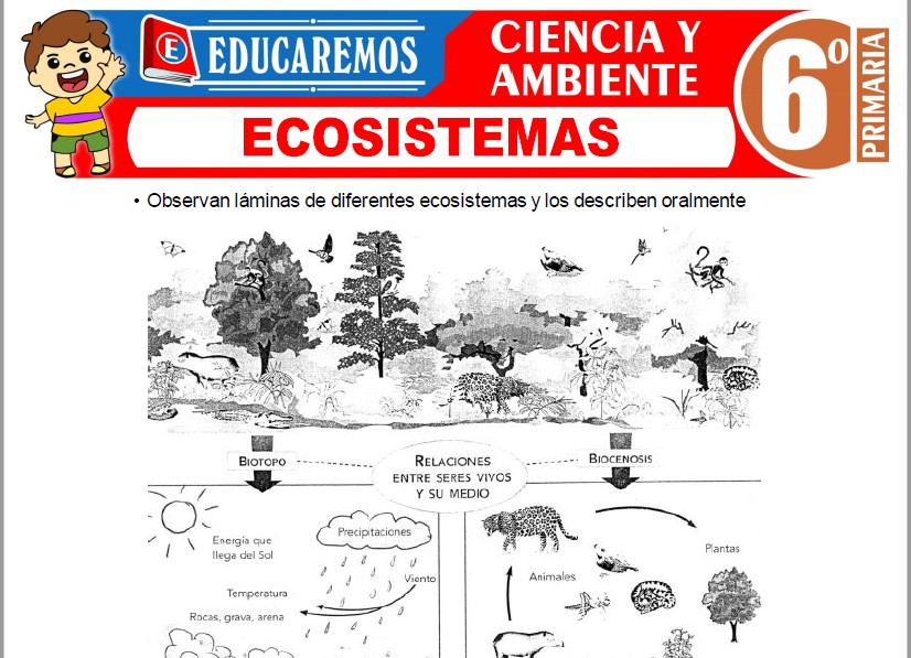 aprende ciencias naturales en sexto grado de forma divertida y completa