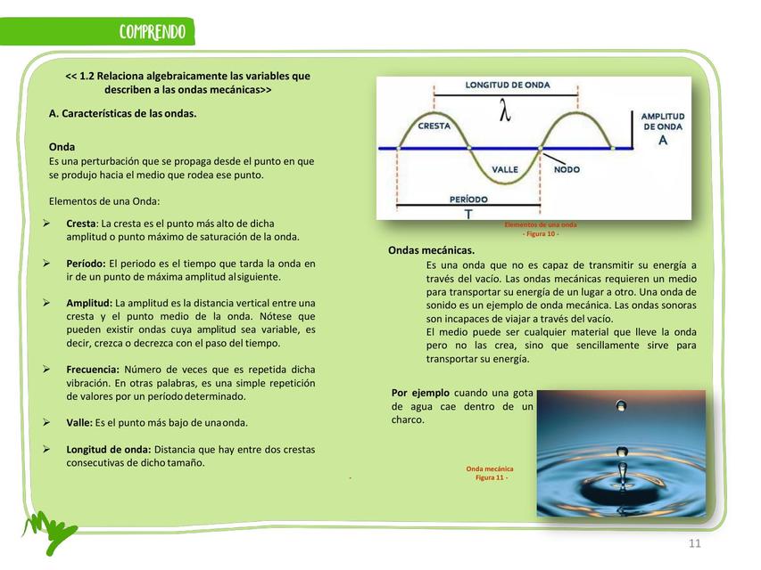 Aprende ejemplos de onda mecánica: una guía completa 2 aprende ejemplos de onda mecanica una guia completa
