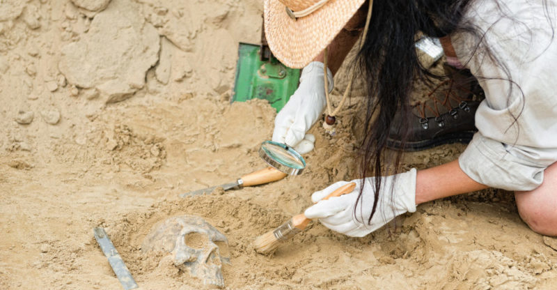 Arqueología: Ramas, Estudios y Características Esenciales 2 arqueologia ramas estudios y caracteristicas esenciales