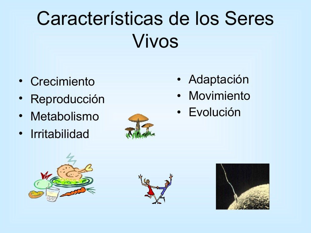 Atrévete a explorar las características de los seres vivos y descubrir la magia de la vida 2 atrevete a explorar las caracteristicas de los seres vivos y descubrir la magia de la vida