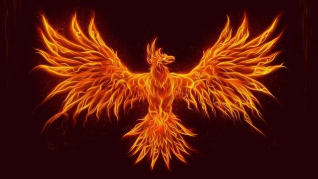 ave fenix concepto simbologia y caracteristicas esenciales 1