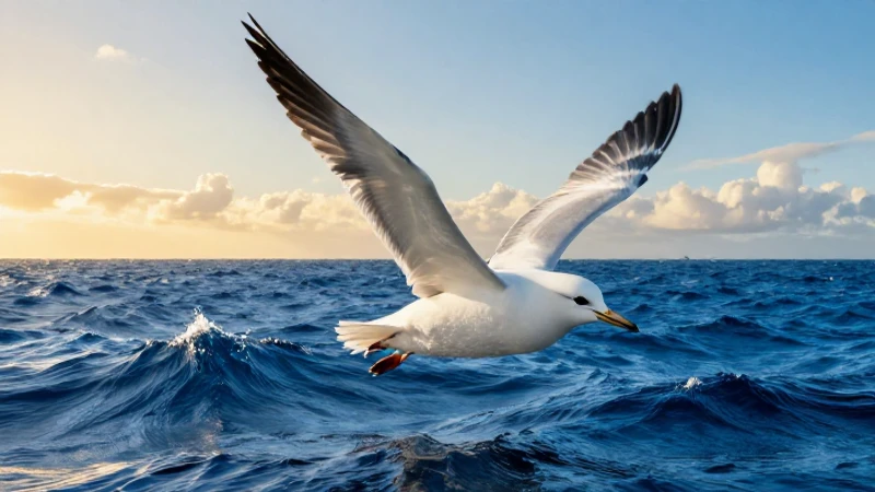 Pájaro majestuoso sobre vibrante océano azul