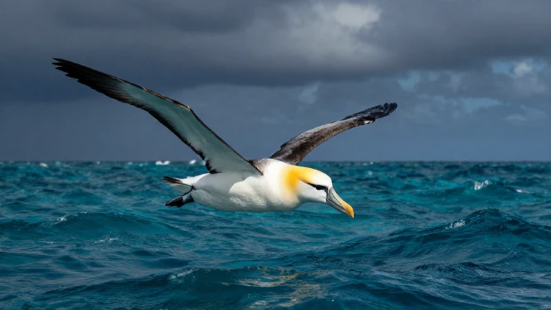 Aves marinas en entornos vibrantes y detallados