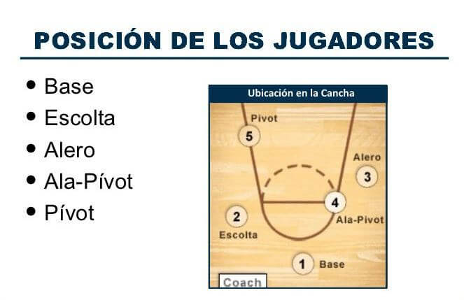 baloncesto medidas posiciones y caracteristicas clave