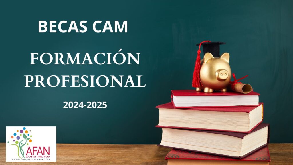 becas libros bachillerato en madrid ayuda economica para tus estudios