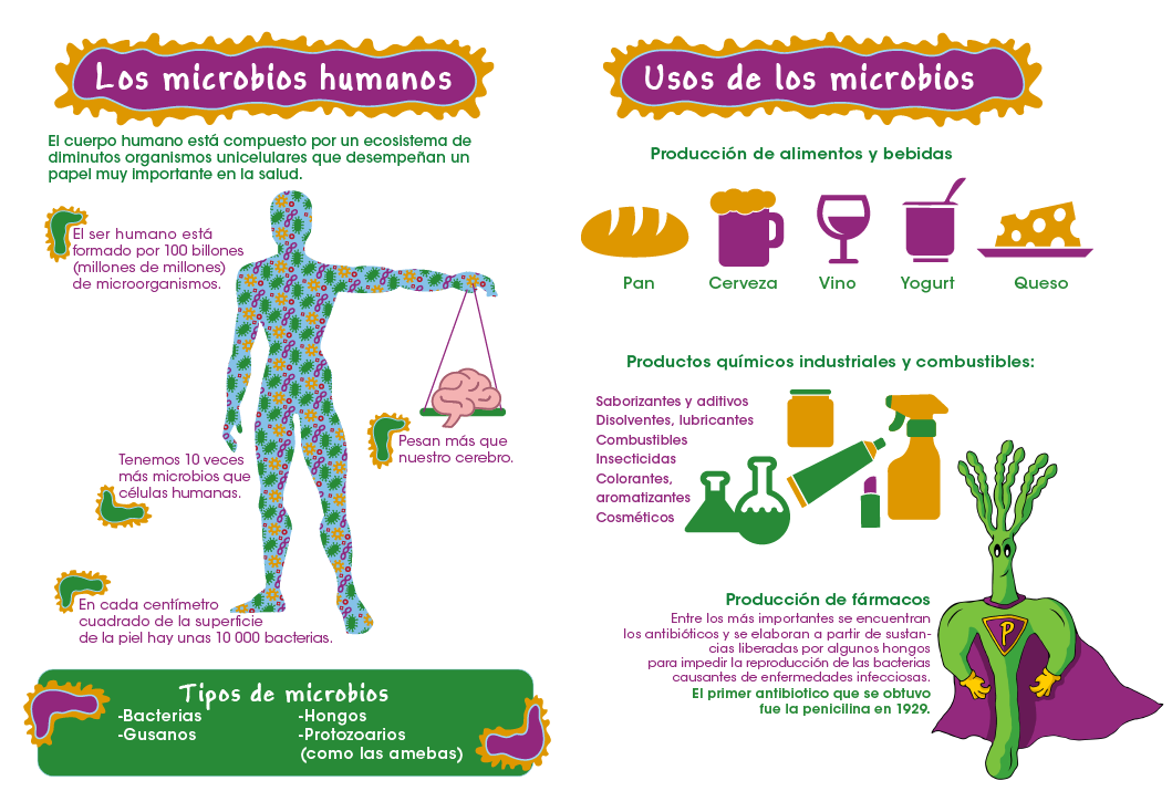 beneficios que es utilidad e importancia en la vida diaria