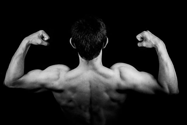 biceps que es cual es su definicion y concepto fundamental