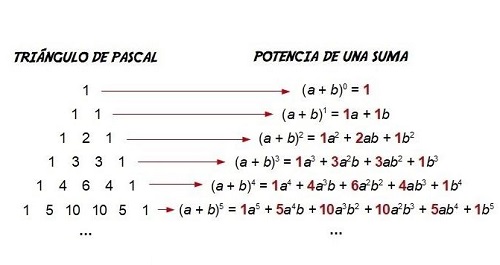 binomio que es definicion y elementos clave