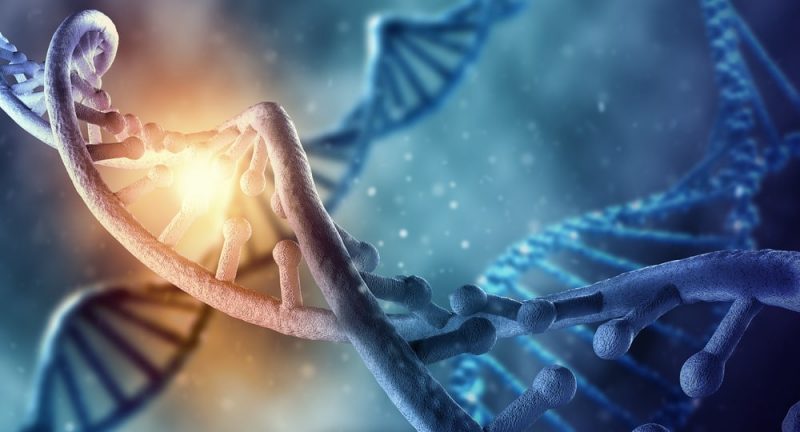 bioquimico concepto historia y ramas de estudio clave