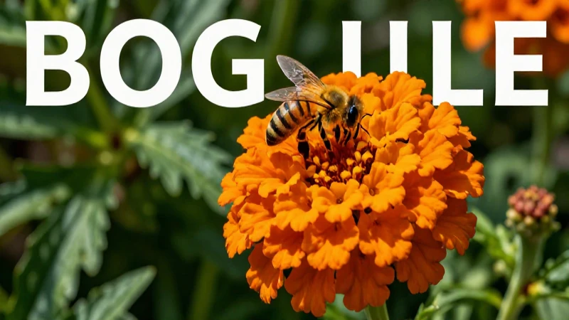 Vibrante Cempasúchil con abeja polinizadora