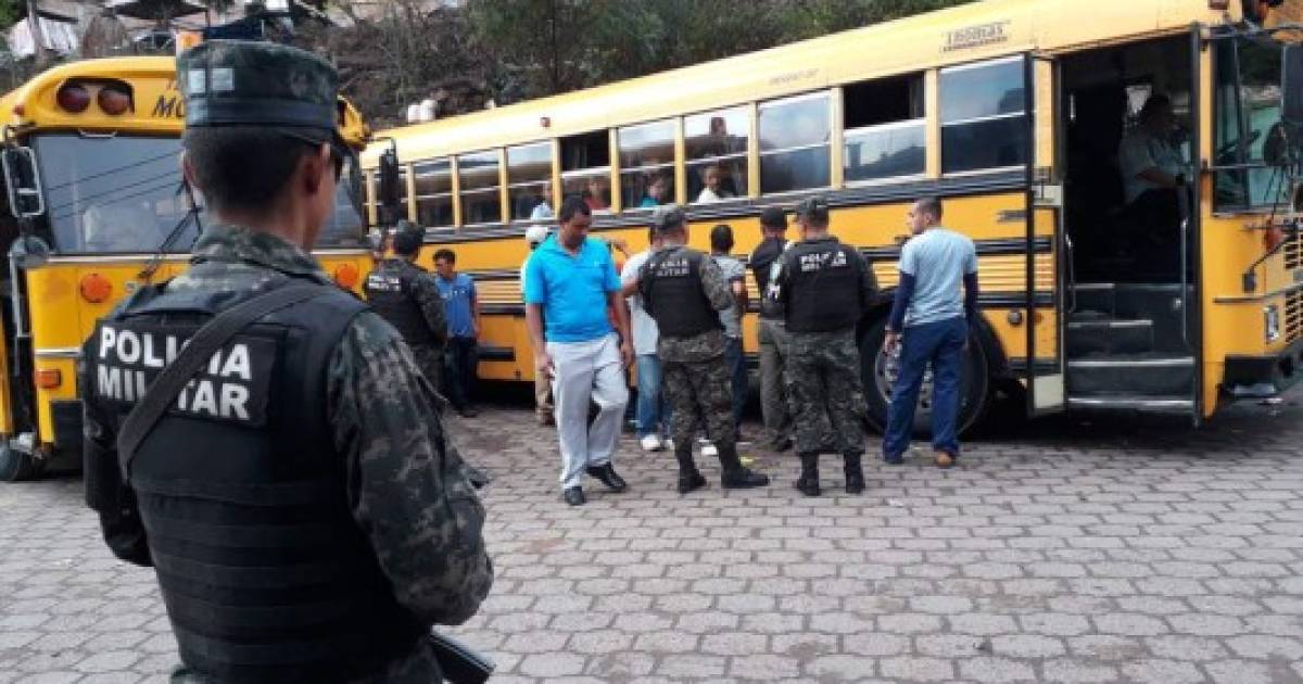 buses escolares seguridad y servicio de transporte argueta 1