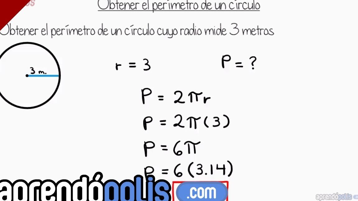 Calcula el perímetro de un círculo en pocos pasos