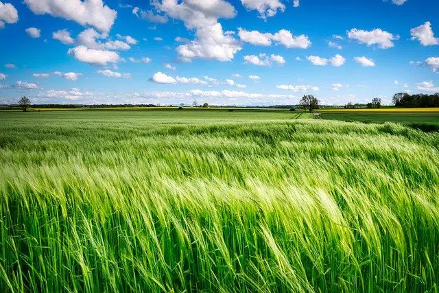 campo definicion y concepto de campos en diversos