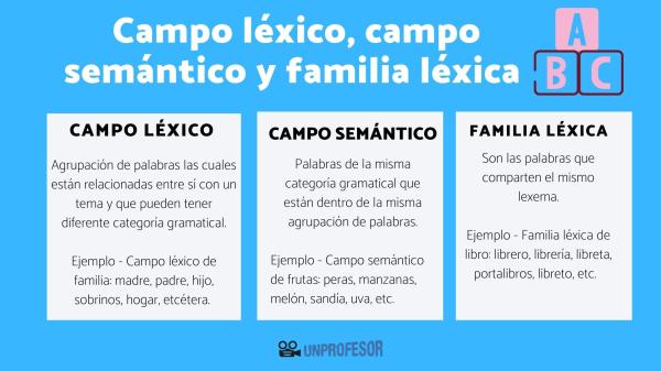 campo semantico concepto tipos ejemplos y familia lexica 1