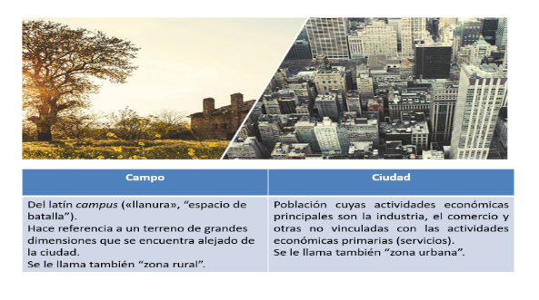 campo y ciudad diferencias importancia y caracteristicas