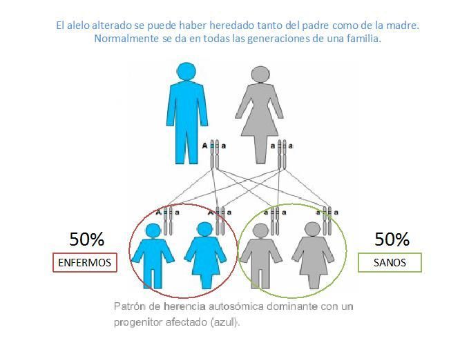 caracter dominante definicion y concepto esencial