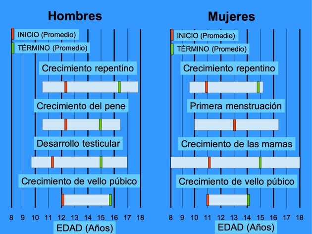 Características de la Adolescencia: Etapas y Cambios Clave 13 caracteristicas de la adolescencia etapas y cambios clave