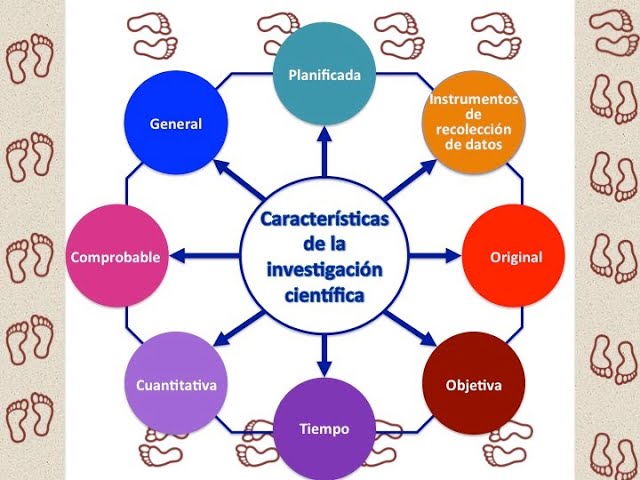 caracteristicas de la investigacion cientifica tipos y mas