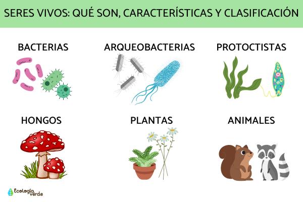 Qué es un ser vivo y cuáles son sus características