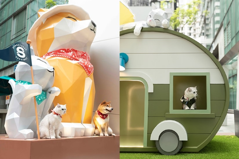 casas con figuras geometricas diseno divertido para gatos 1