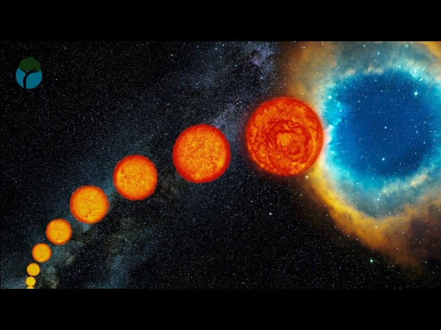 ciclo de vida de una estrella de nacimiento a final 2