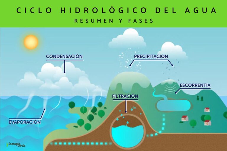Ciclo del agua: Comprendiendo su importancia y fases 2 ciclo del agua comprendiendo su importancia y fases