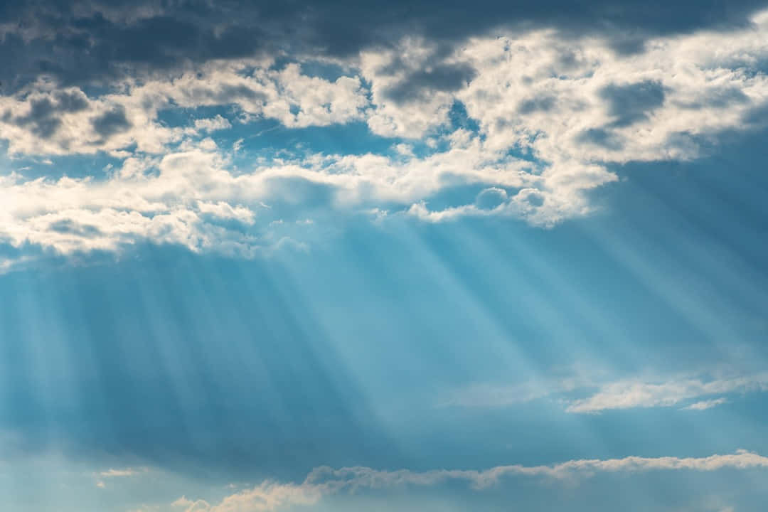 cielo despejado disfruta de la belleza del verano radiante 1