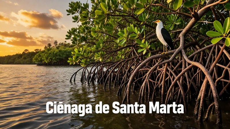 Ciénagas: definición, características y concepto esencial 5 Paisaje vibrante de manglares al atardecer con aves exóticas